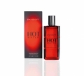 Zobrazit detail zboží: Davidoff Hot Water, Toaletní voda 110 ml (Pro muže)